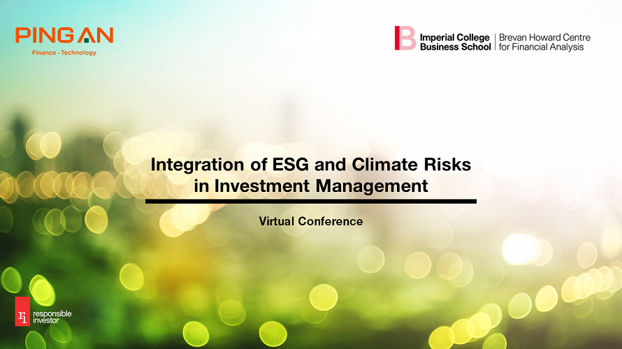 Integration Of Esg And Climate Risks In Investment Management